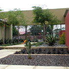 Corporate Gardens