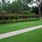 Residential Gardens