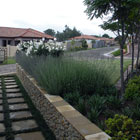 Residential Gardens